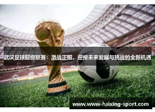 武汉足球超级联赛：激战正酣，迎接未来发展与挑战的全新机遇