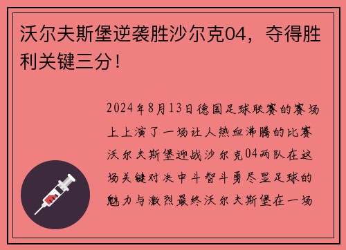 沃尔夫斯堡逆袭胜沙尔克04，夺得胜利关键三分！